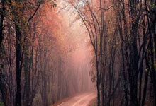 提前锁定东部前10！老鹰&魔术保底可以参加附加赛.