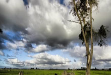 [图]帕尔默破门无果 切尔西1-1水晶宫四轮不胜.