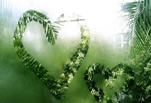 字母哥将缺席NBA全星赛 东契奇或星期二上演湖人首秀.